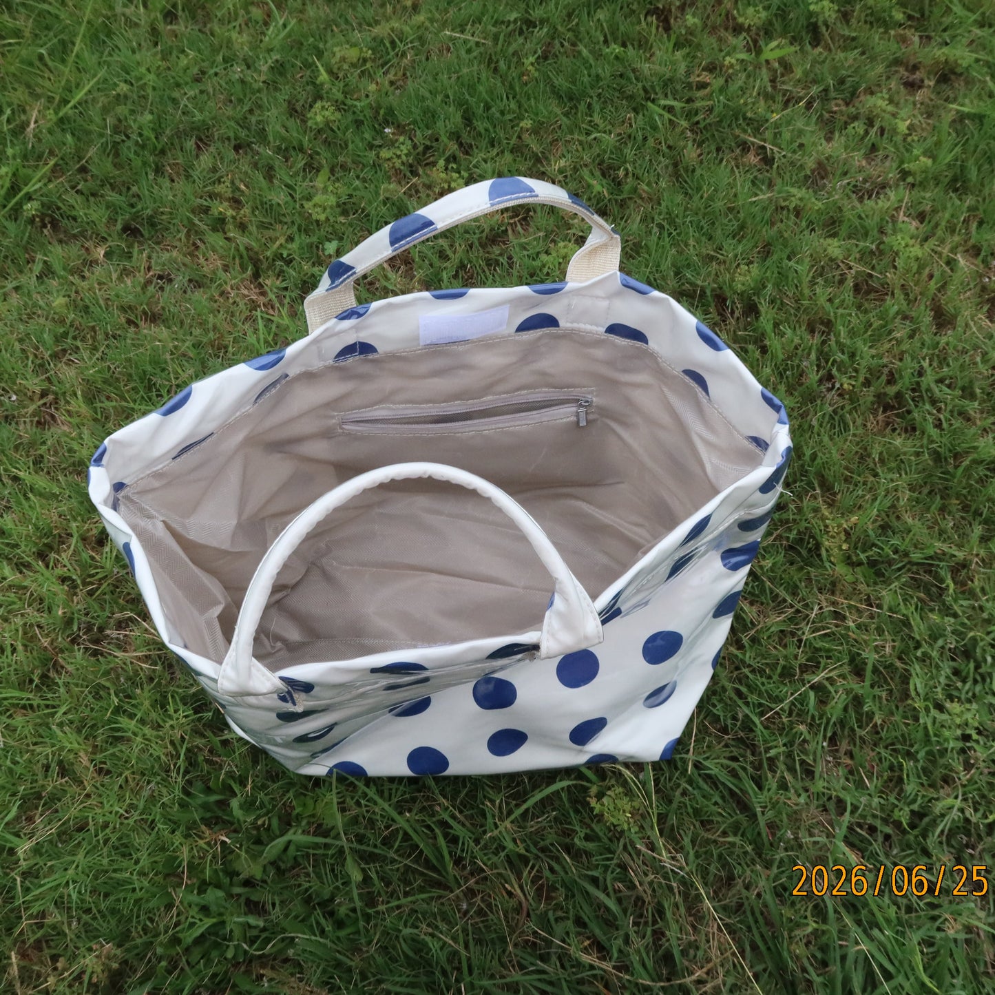 Polka Dot Tote Bag