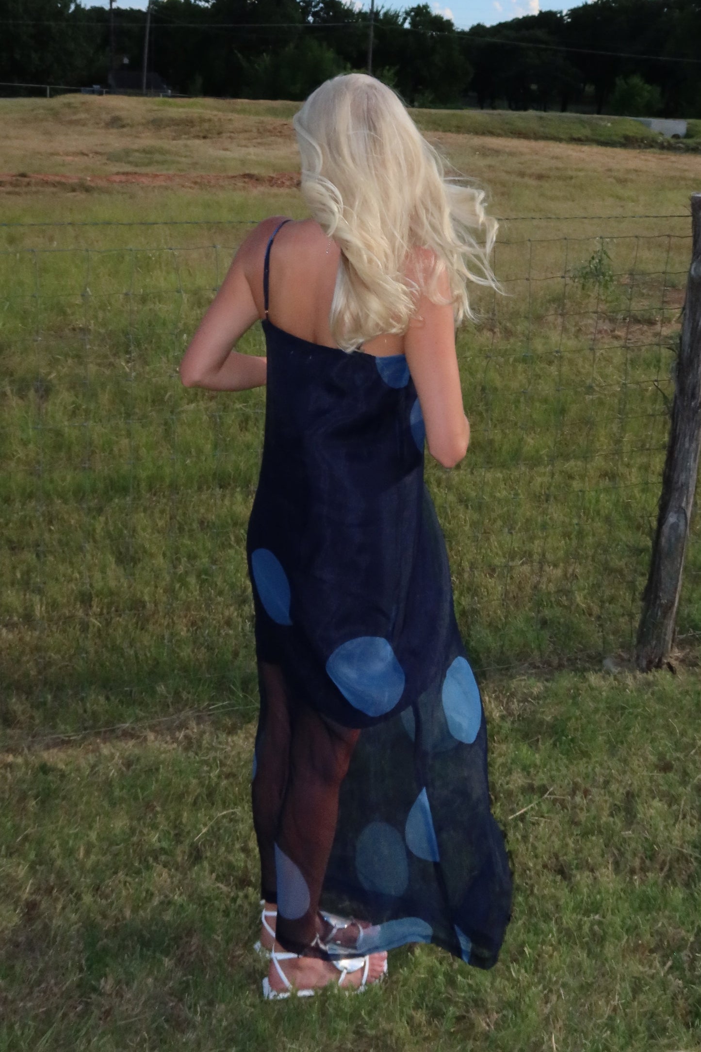 Polka Dot Sheer Overlay Maxi Dress