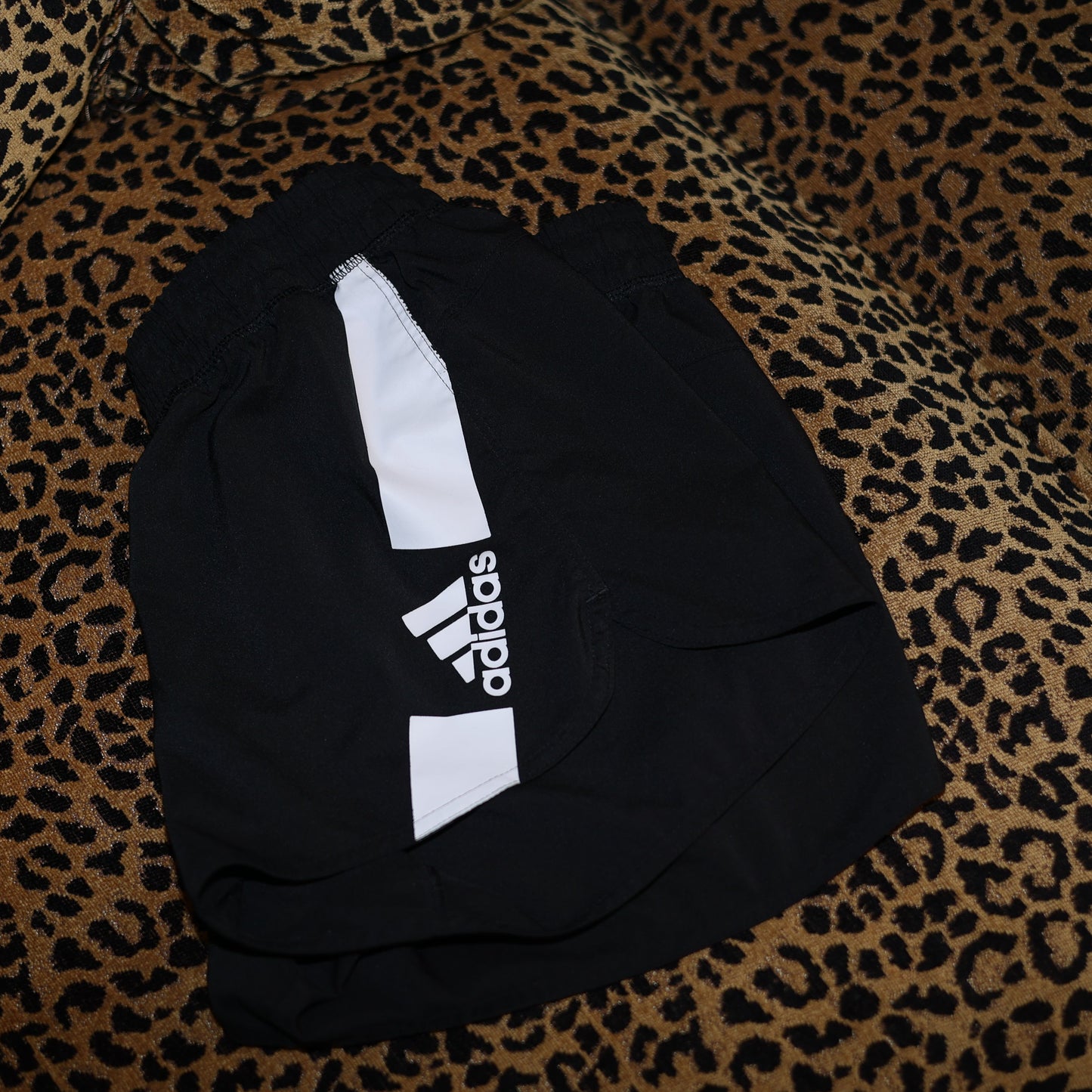 Mini Gym Shorts