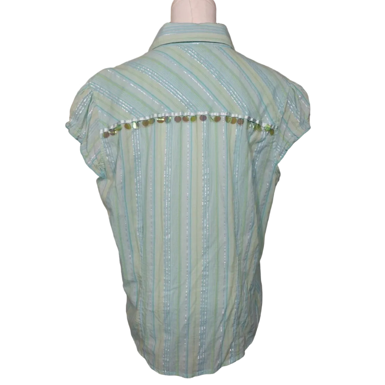 Minty Sheer Stripe Button-Up Top (L)