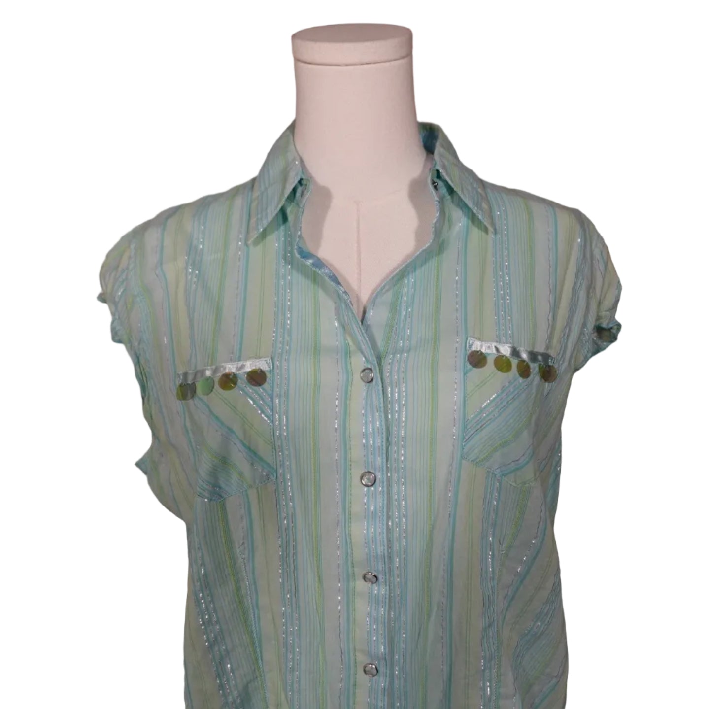 Minty Sheer Stripe Button-Up Top (L)
