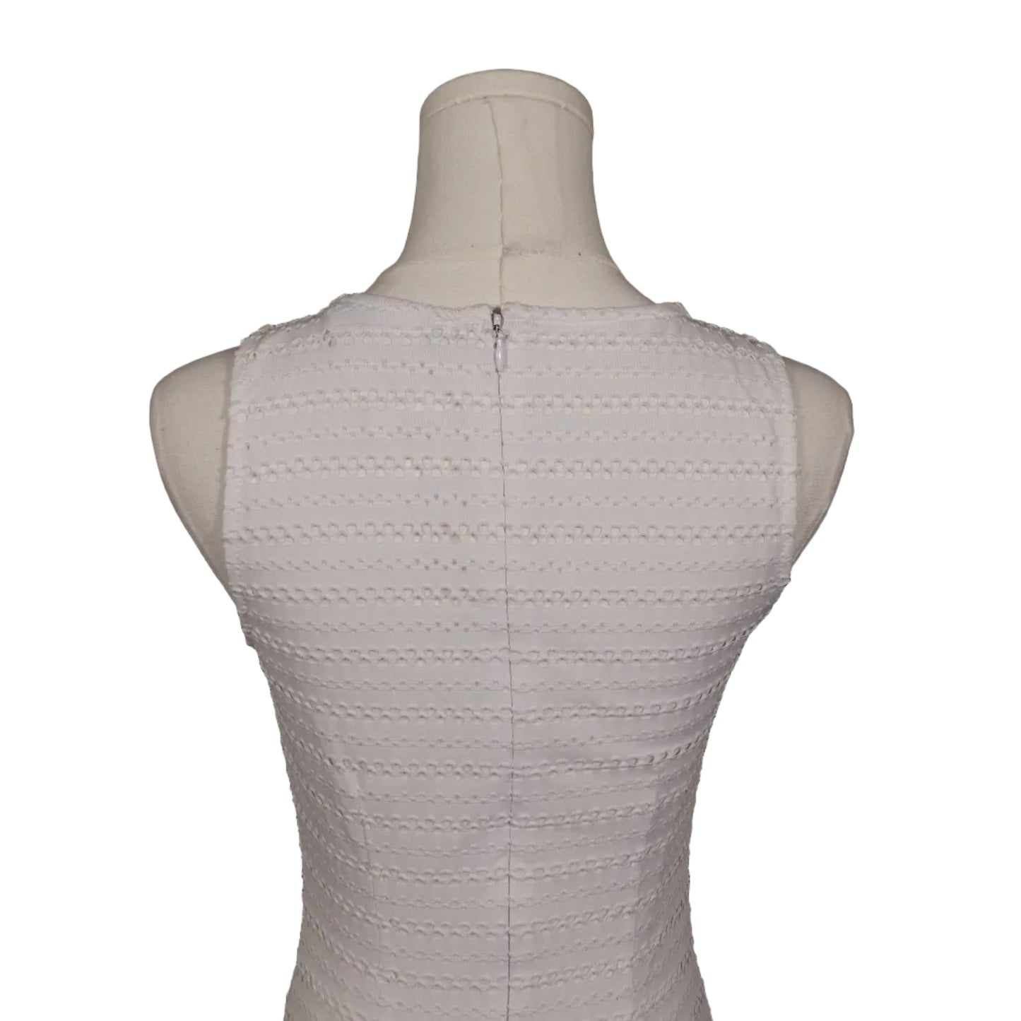The White Bodycon Dress (2)