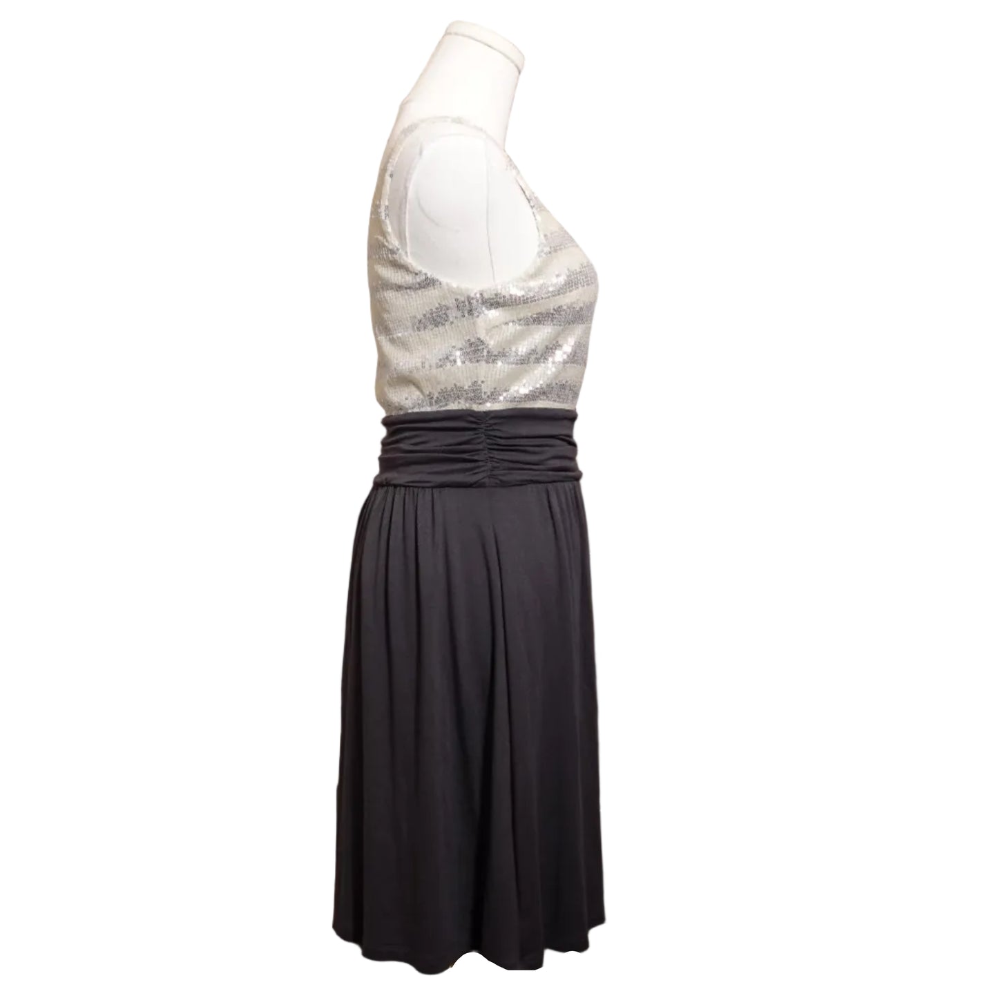 Express Fit and Flare Skater Tank Dress-2