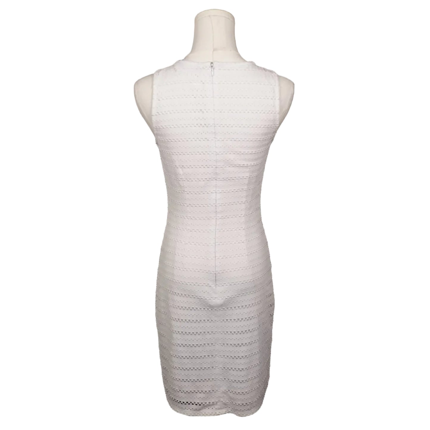 The White Bodycon Dress (2)