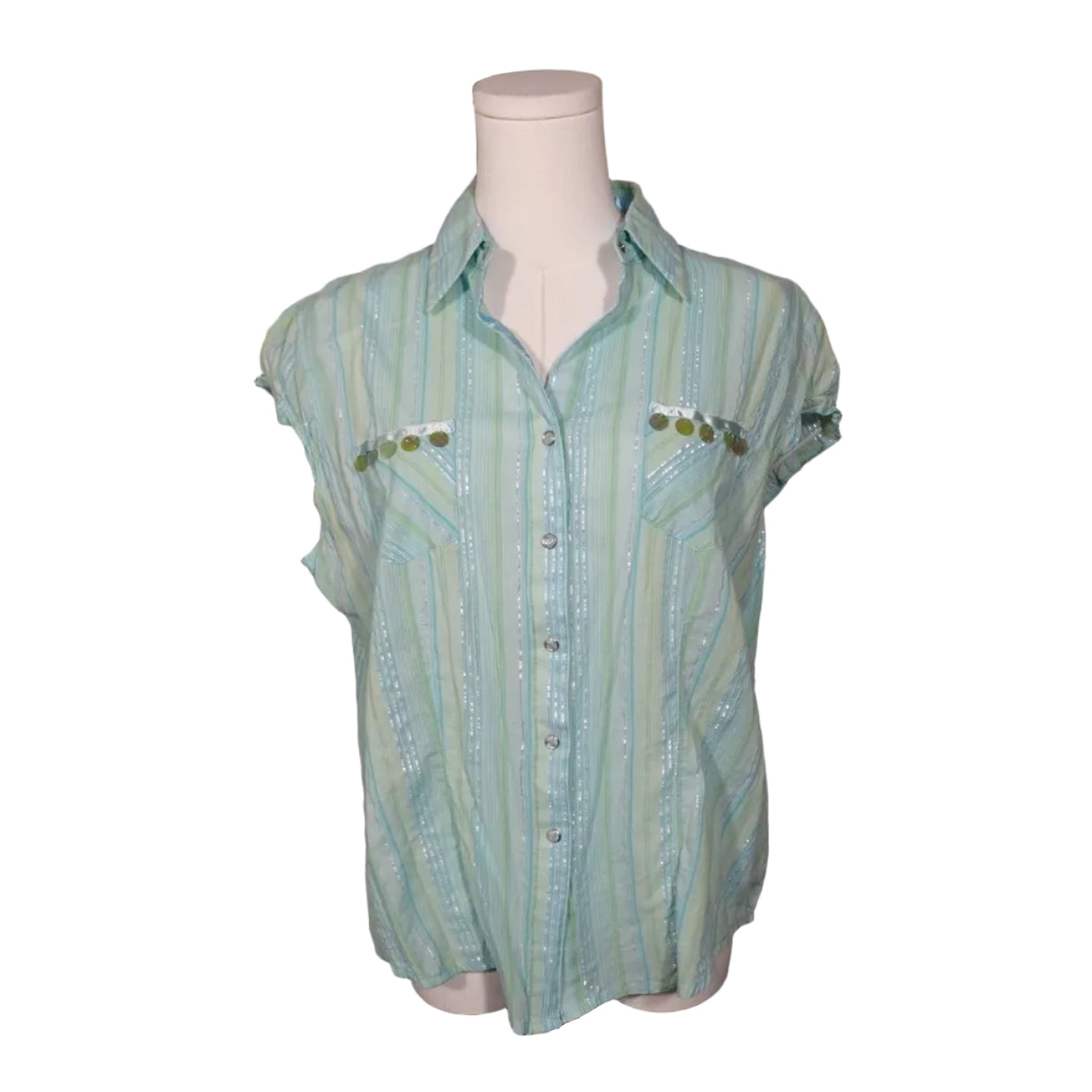 Minty Sheer Stripe Button-Up Top (L)