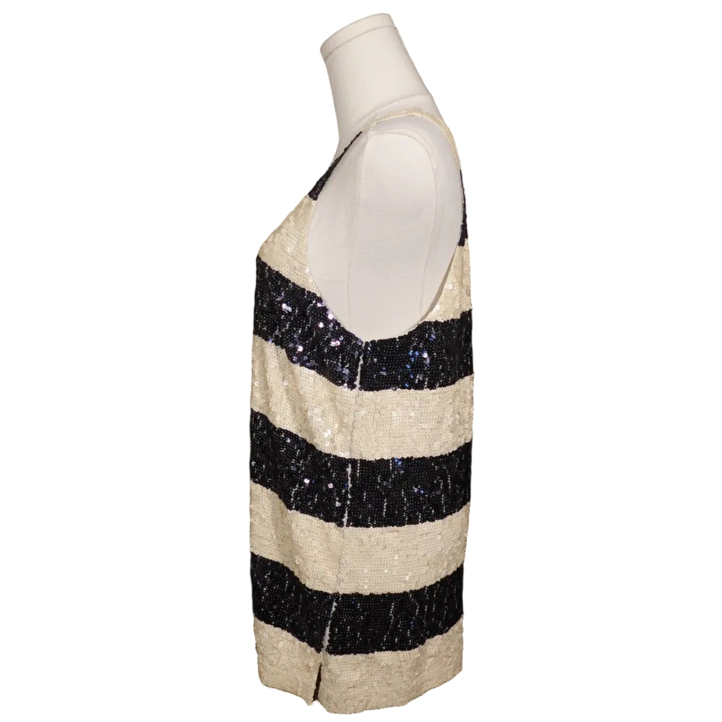 J.Crew Sequin Stripe Cami (M)