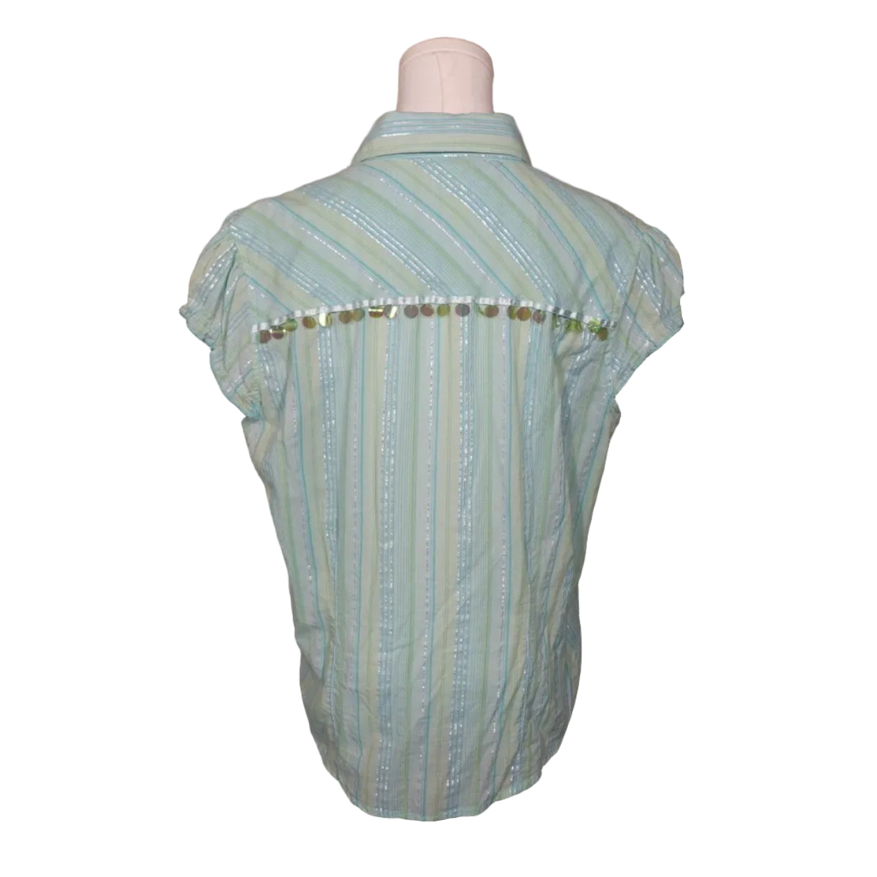 Minty Sheer Stripe Button-Up Top (L)
