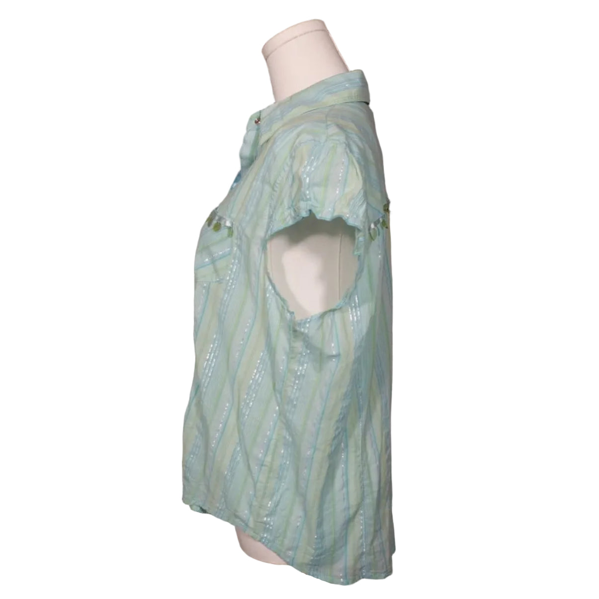Minty Sheer Stripe Button-Up Top (L)