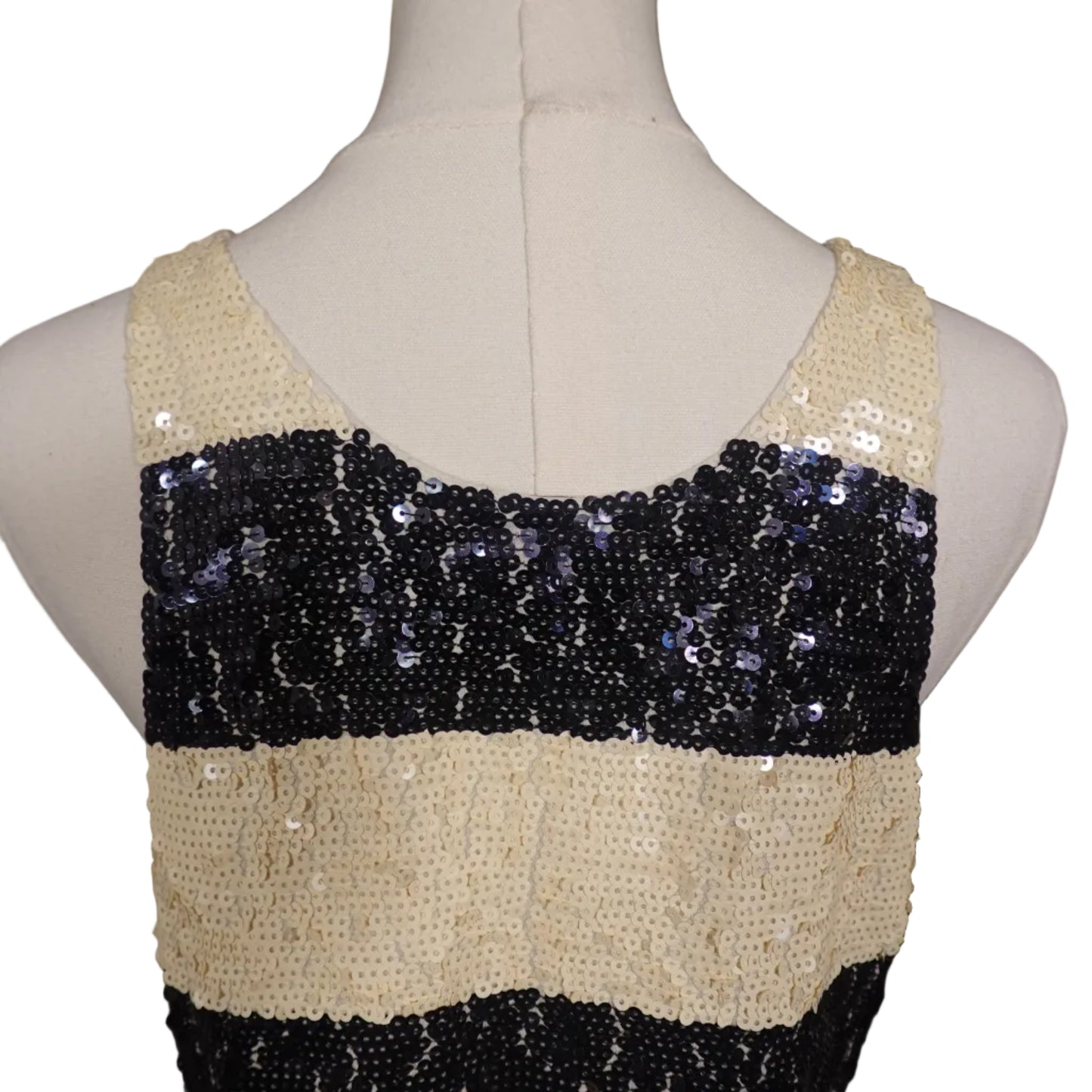 J.Crew Sequin Stripe Cami (M)