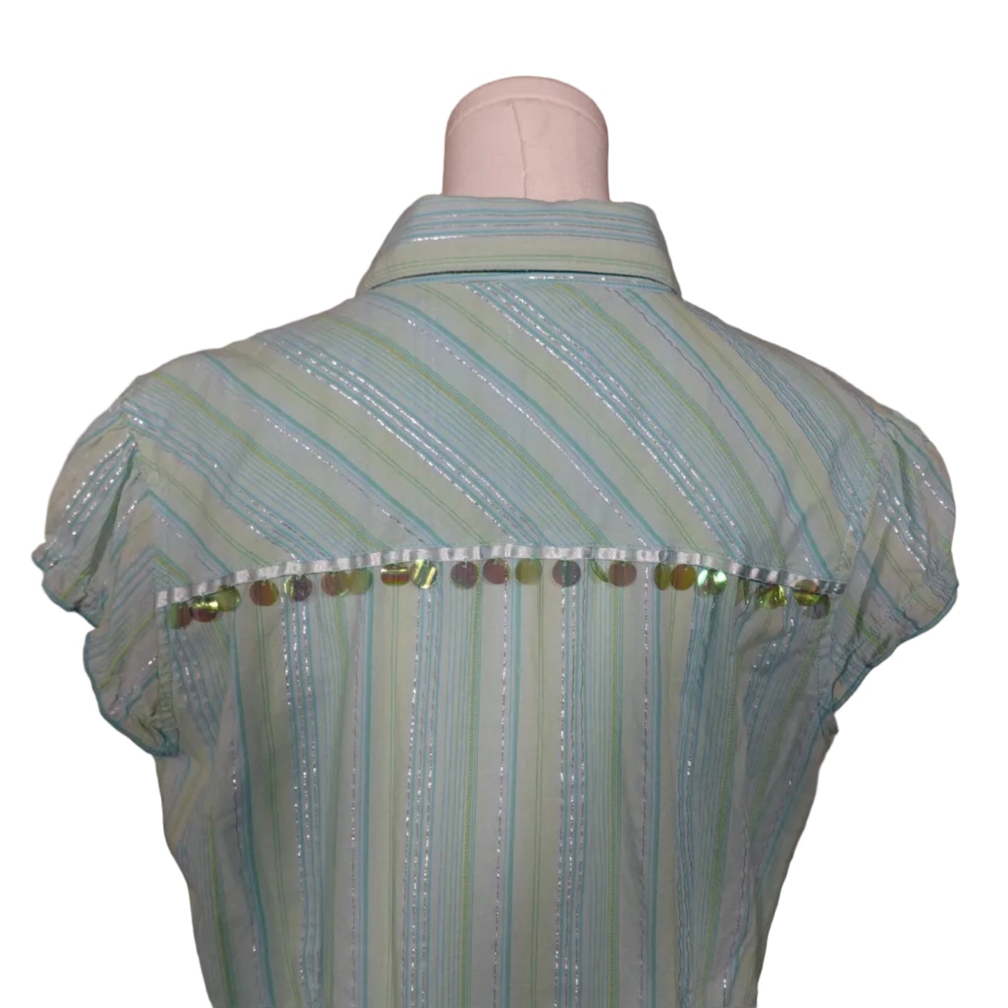 Minty Sheer Stripe Button-Up Top (L)
