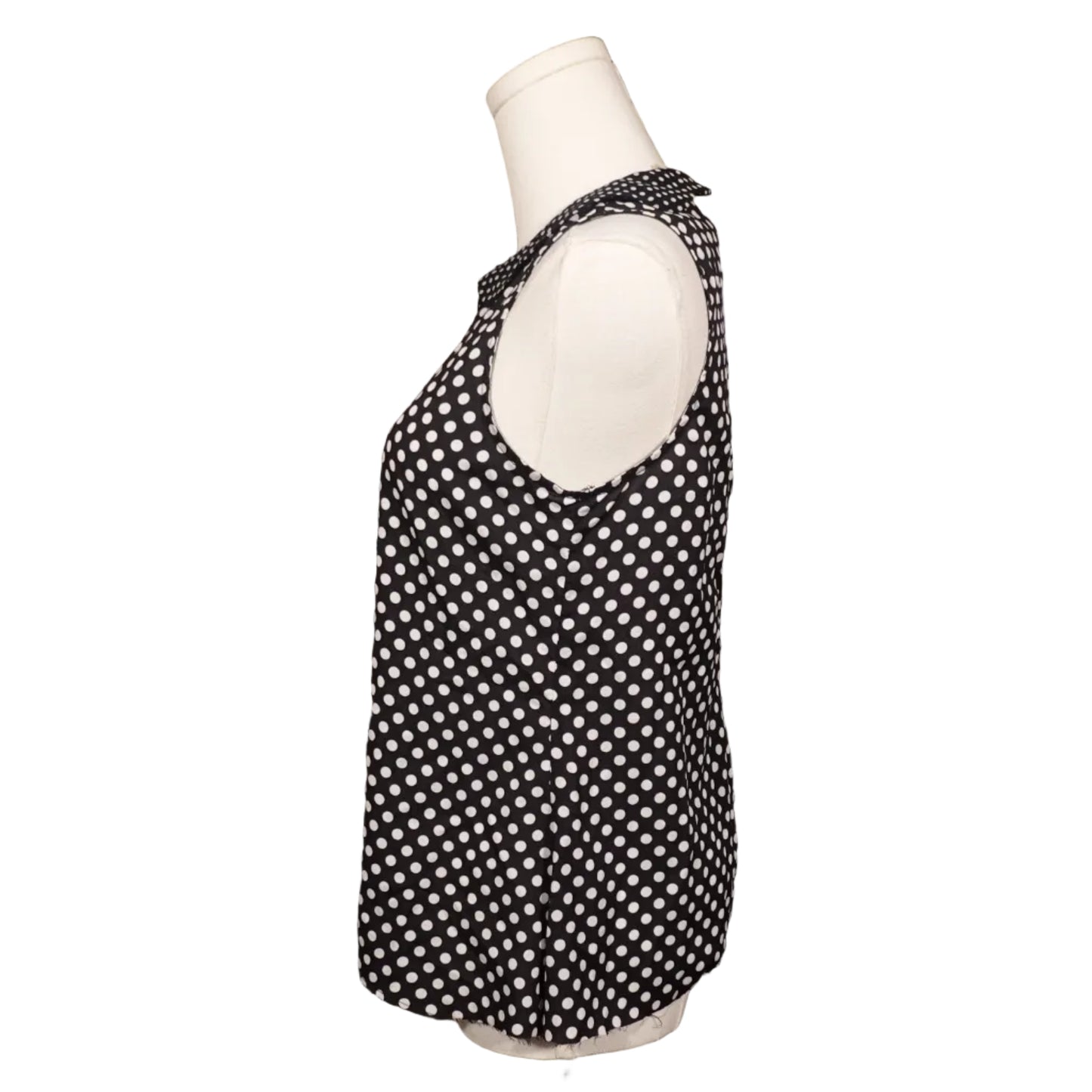 Classic Polka Dot Collar Blouse (S)