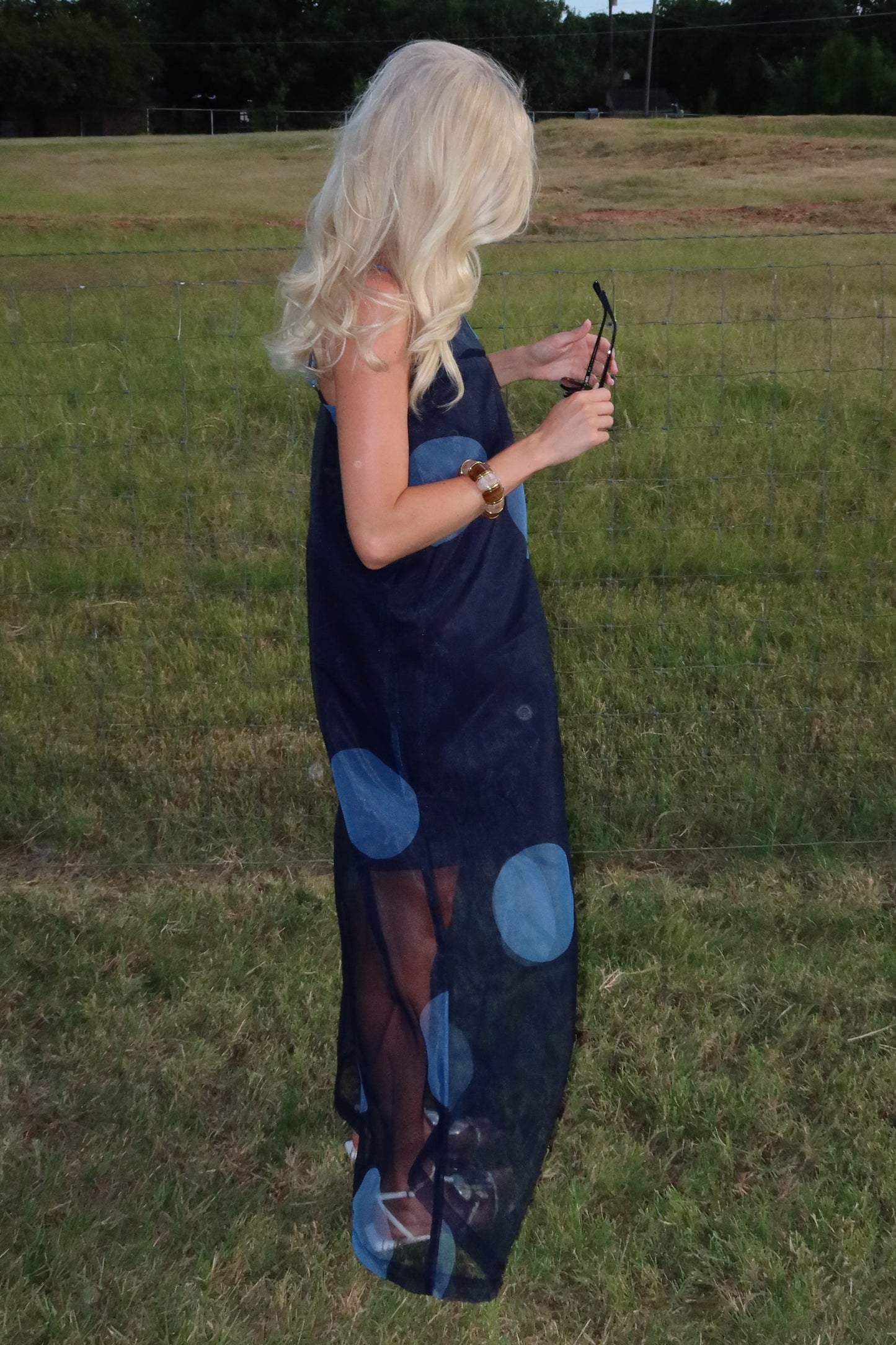 Polka Dot Sheer Overlay Maxi Dress