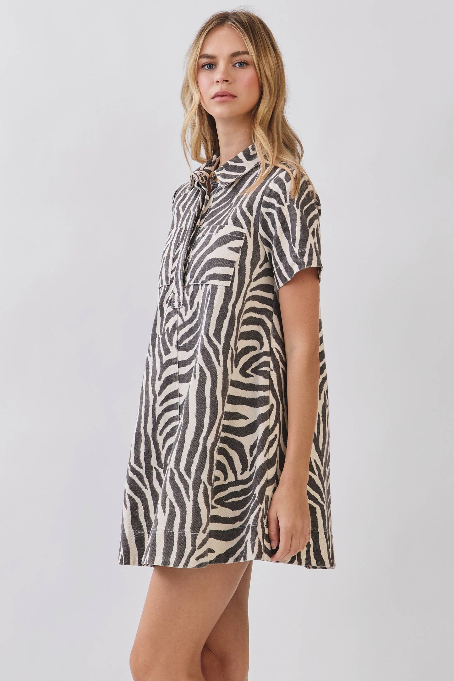 PREORDER Wild Side Mini Button Down Dress